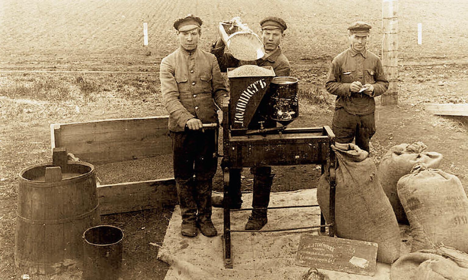 Cleaning soybean seeds. Amur Soybean Experimental Station. 1927.